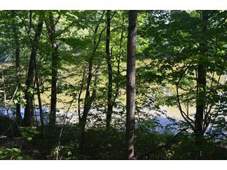 Property photo 6 - 108 +/- Acres Offered in 2 Tracts - Land Auction